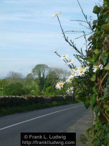 Around Knocknarea